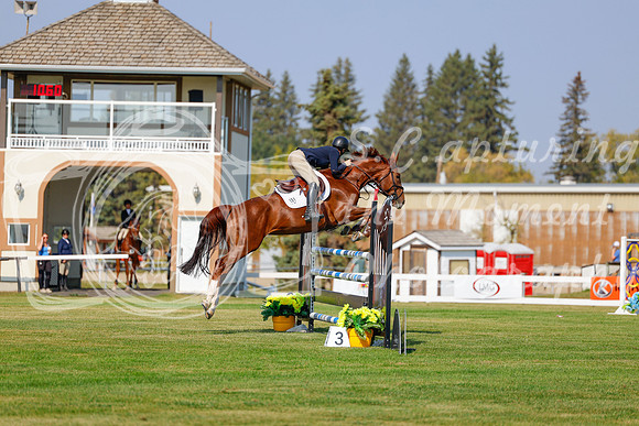 2025 - Haylee - Harvest Horse Show - Thursday, September 11th 01593