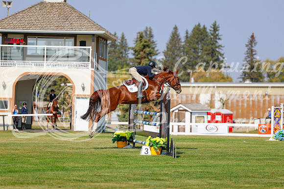 2025 - Haylee - Harvest Horse Show - Thursday, September 11th 01594