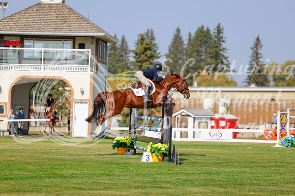 2025 - Haylee - Harvest Horse Show - Thursday, September 11th 01595