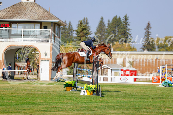 2025 - Haylee - Harvest Horse Show - Thursday, September 11th 01596