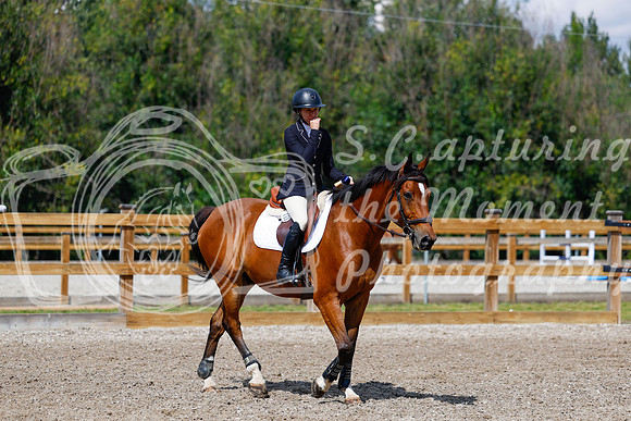2025 - Haylee - Picco Horse Show - Sunday July 27th 05546