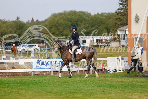 2025 - Haylee - Harvest Horse Show - Friday, September 12th 00009