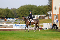 2025 - Haylee - Harvest Horse Show - Friday, September 12th 00007