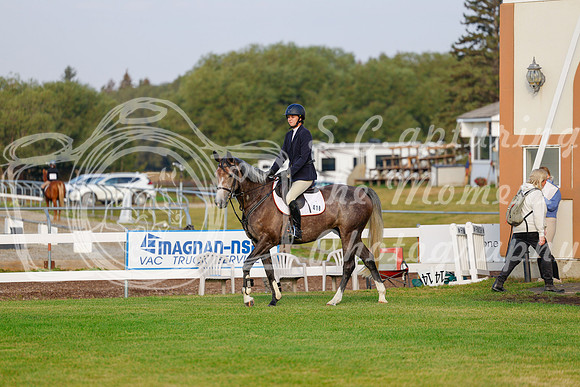 2025 - Haylee - Harvest Horse Show - Friday, September 12th 00007