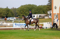 2025 - Haylee - Harvest Horse Show - Friday, September 12th 00008