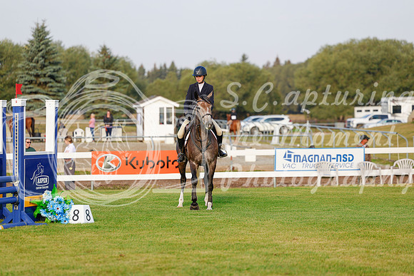 2025 - Haylee - Harvest Horse Show - Friday, September 12th 00014