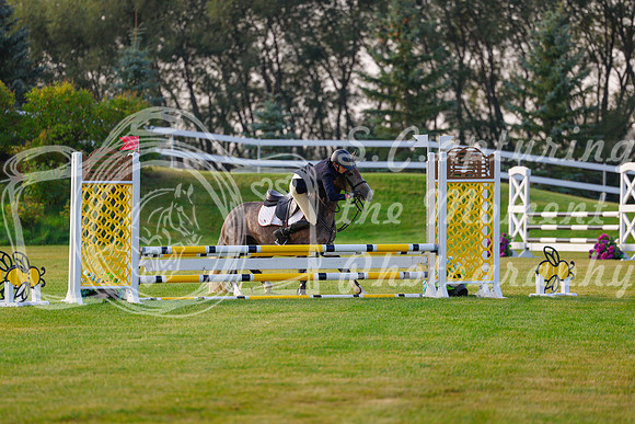 2025 - Haylee - Harvest Horse Show - Friday, September 12th 00026
