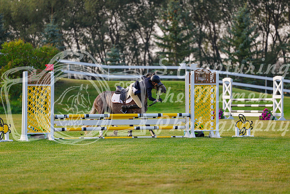 2025 - Haylee - Harvest Horse Show - Friday, September 12th 00029