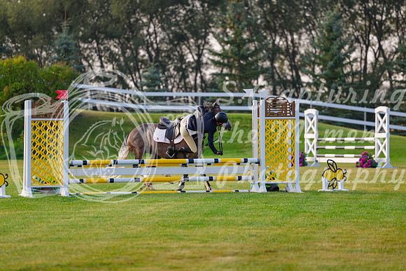 2025 - Haylee - Harvest Horse Show - Friday, September 12th 00032