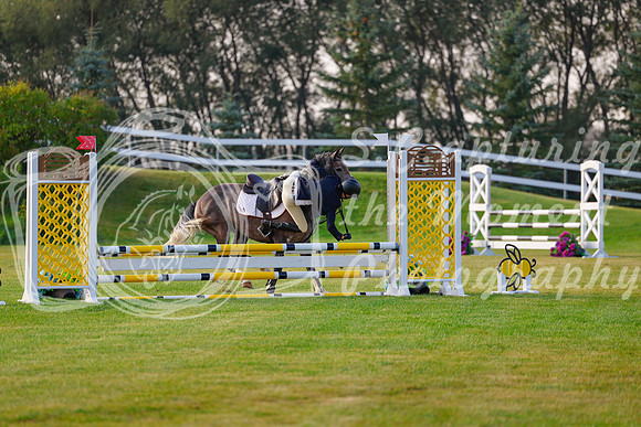 2025 - Haylee - Harvest Horse Show - Friday, September 12th 00035