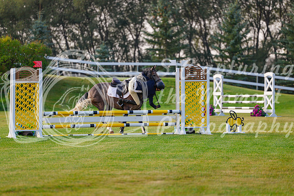 2025 - Haylee - Harvest Horse Show - Friday, September 12th 00036