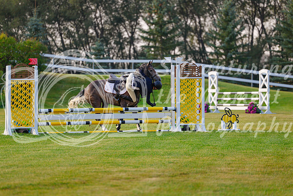 2025 - Haylee - Harvest Horse Show - Friday, September 12th 00038