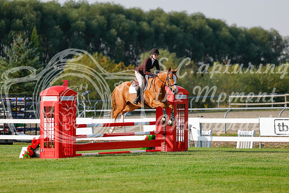 2025 - Haylee - Harvest Horse Show - Friday, September 12th 00761