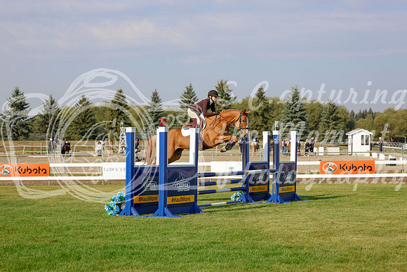 2025 - Haylee - Harvest Horse Show - Friday, September 12th 00765