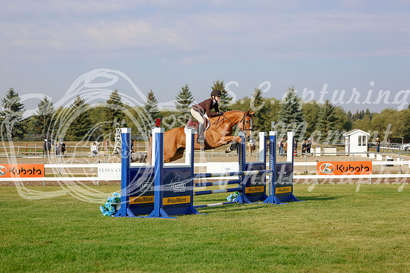 2025 - Haylee - Harvest Horse Show - Friday, September 12th 00766