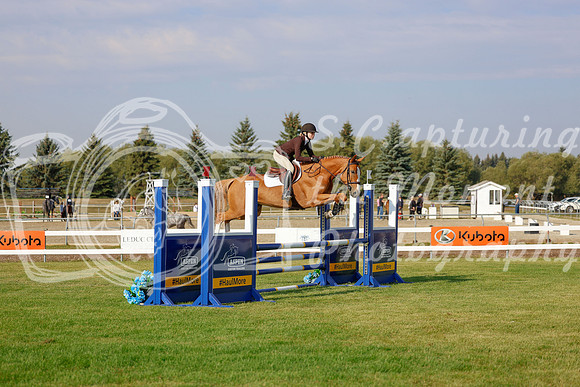 2025 - Haylee - Harvest Horse Show - Friday, September 12th 00768