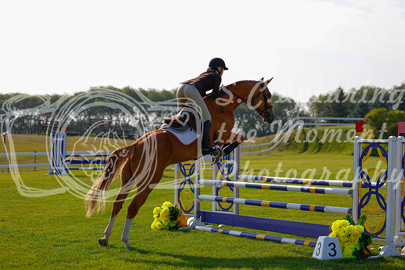 2025 - Haylee - Harvest Horse Show - Friday, September 12th 00770