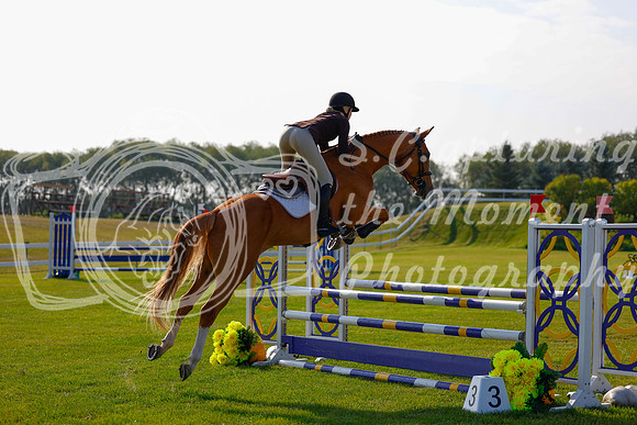2025 - Haylee - Harvest Horse Show - Friday, September 12th 00772