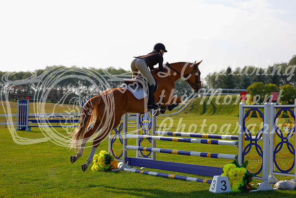 2025 - Haylee - Harvest Horse Show - Friday, September 12th 00773