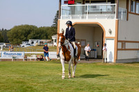2025 - Haylee - Harvest Horse Show - Friday, September 12th 07066