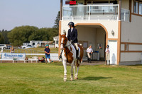 2025 - Haylee - Harvest Horse Show - Friday, September 12th 07064