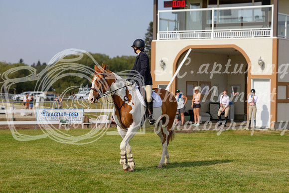 2025 - Haylee - Harvest Horse Show - Friday, September 12th 07068