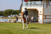 2025 - Haylee - Harvest Horse Show - Friday, September 12th 07065