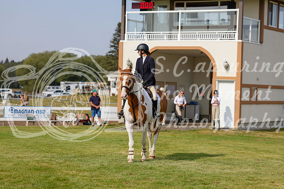 2025 - Haylee - Harvest Horse Show - Friday, September 12th 07065