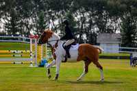 2025 - Haylee - Harvest Horse Show - Friday, September 12th 07069