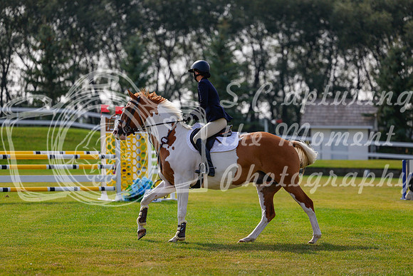 2025 - Haylee - Harvest Horse Show - Friday, September 12th 07070