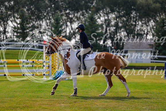 2025 - Haylee - Harvest Horse Show - Friday, September 12th 07071