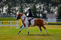 2025 - Haylee - Harvest Horse Show - Friday, September 12th 07072
