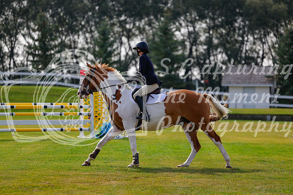 2025 - Haylee - Harvest Horse Show - Friday, September 12th 07072