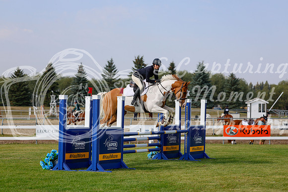 2025 - Haylee - Harvest Horse Show - Friday, September 12th 07084