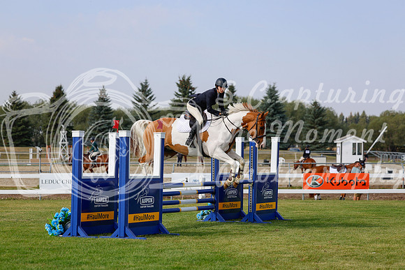 2025 - Haylee - Harvest Horse Show - Friday, September 12th 07086