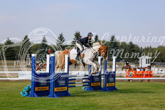 2025 - Haylee - Harvest Horse Show - Friday, September 12th 07085