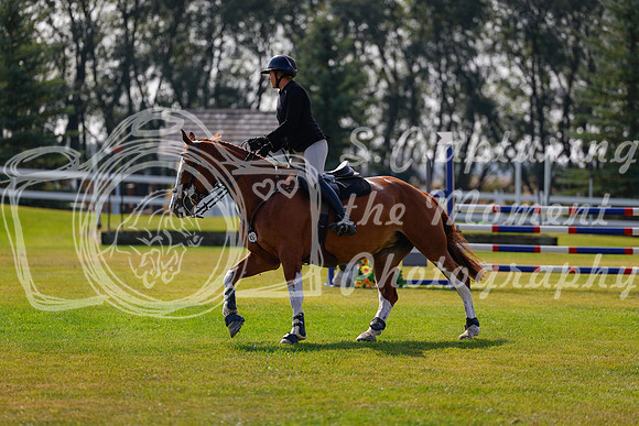 2025 - Haylee - Harvest Horse Show - Friday, September 12th 07381