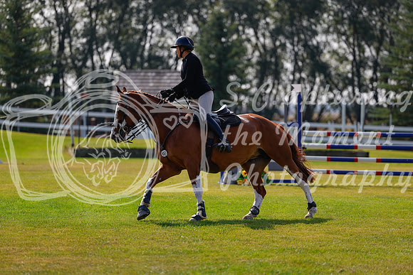 2025 - Haylee - Harvest Horse Show - Friday, September 12th 07382