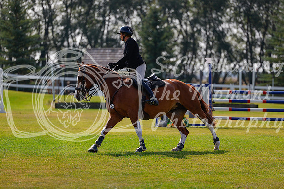 2025 - Haylee - Harvest Horse Show - Friday, September 12th 07383