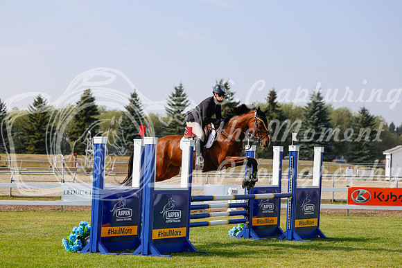 2025 - Haylee - Harvest Horse Show - Friday, September 12th 07742