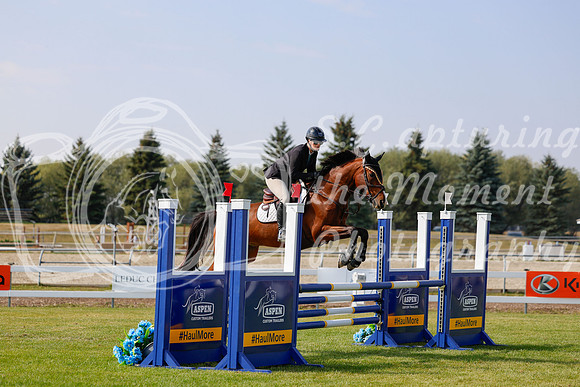 2025 - Haylee - Harvest Horse Show - Friday, September 12th 07740