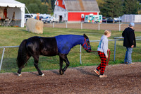 2025 - Haylee - Harvest Horse Show - Friday, September 12th 00005
