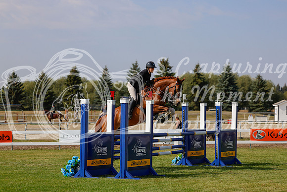 2025 - Haylee - Harvest Horse Show - Friday, September 12th 07391