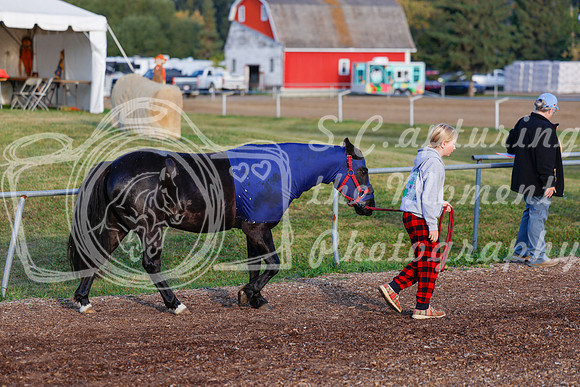 2025 - Haylee - Harvest Horse Show - Friday, September 12th 00004