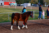 2025 - Haylee - Harvest Horse Show - Friday, September 12th 00001