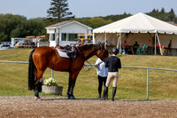2025 - Haylee - Harvest Horse Show - Friday, September 12th 07677