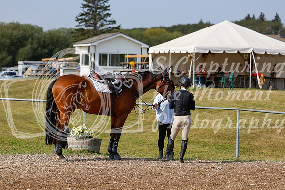 2025 - Haylee - Harvest Horse Show - Friday, September 12th 07677