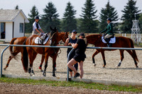 2025 - Haylee - Harvest Horse Show - Friday, September 12th 07676