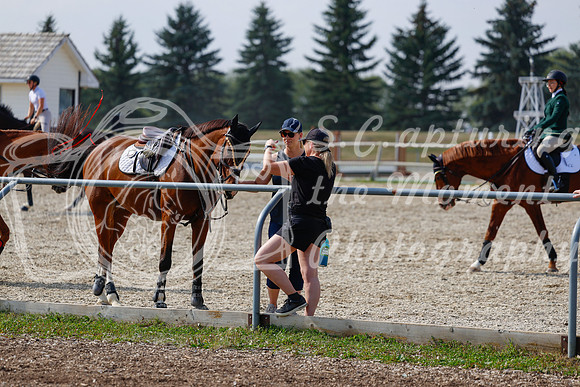 2025 - Haylee - Harvest Horse Show - Friday, September 12th 07675