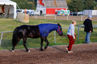 2025 - Haylee - Harvest Horse Show - Friday, September 12th 00006